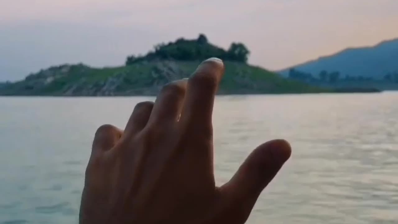 Status video