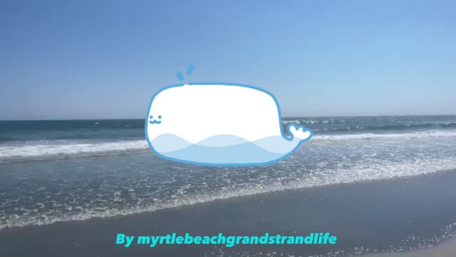 MYRTLE BEACH JOKES