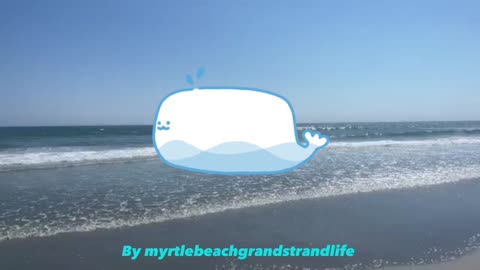 MYRTLE BEACH JOKES