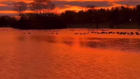 Pôr do sol fim de tarde