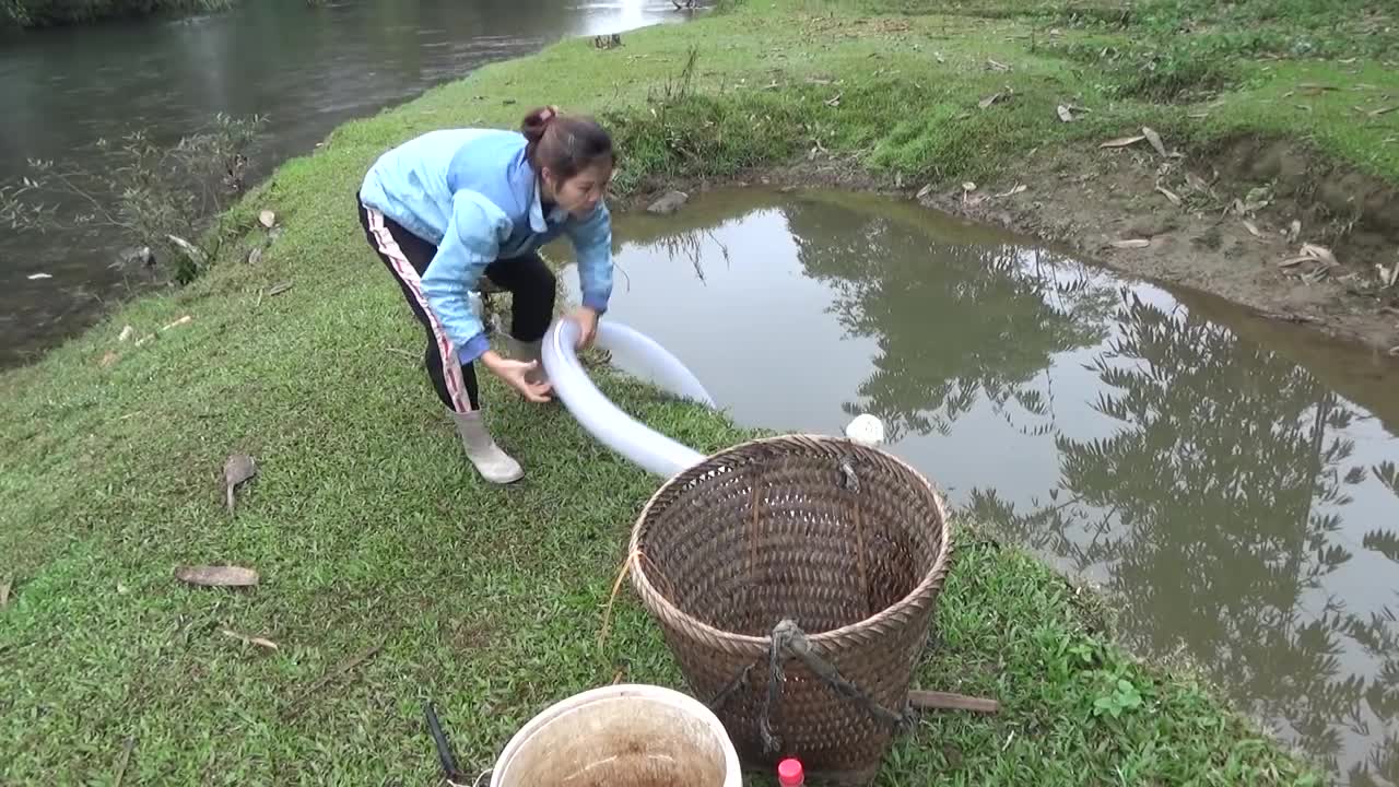 Hunting wild fish | Catch a lot of fish in the wild lake by using the big pump to suck the water-9