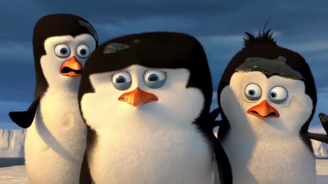 Penguins 9