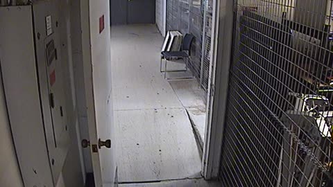 1009RSOBBASRB31RearDoor_2021-01-05_00h20min00s010ms.mp4