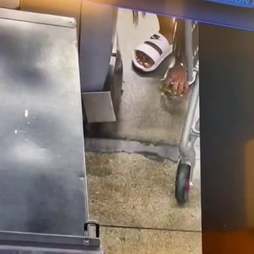 Lost in Aisle 3: When Shopping Turns into a Comedy!