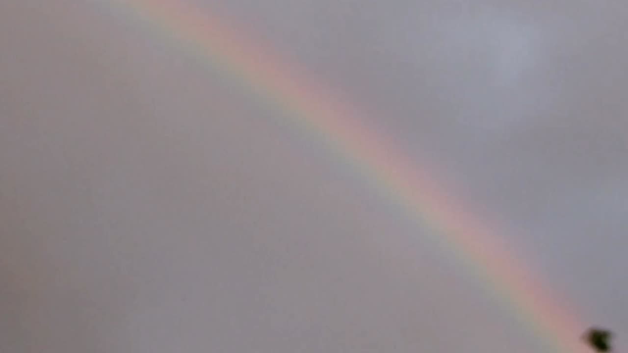 Rainbow