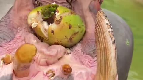 #Useful#Beautiful#Funny #Funny video#laugh# interesting#video#short video#short#short cut