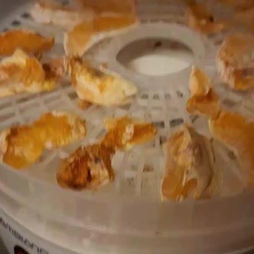 SHARING MY NEW HOBBY > DEHYDRATING