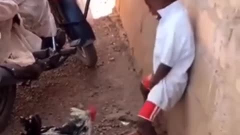 Boy Vs Chicken 🤣🤣