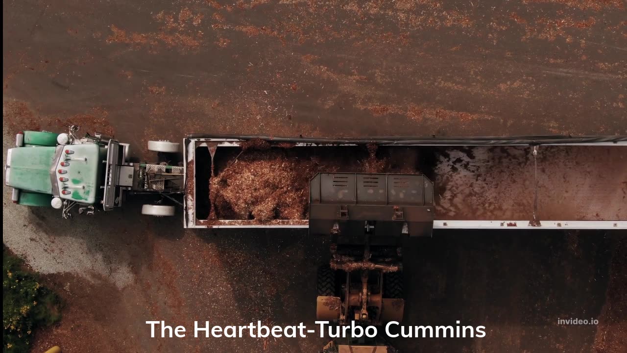 The Heartbeat by Turbo Cummins