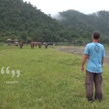 Anti-Loosh Video Number 199. LOOSH is real and bad. Explained below and watch the video