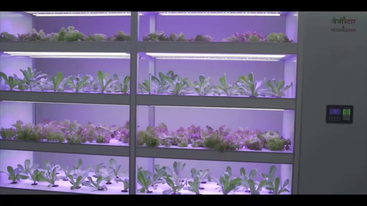 Farming | Future Farm | Technology | Lights | Indoor Hydroponic System.