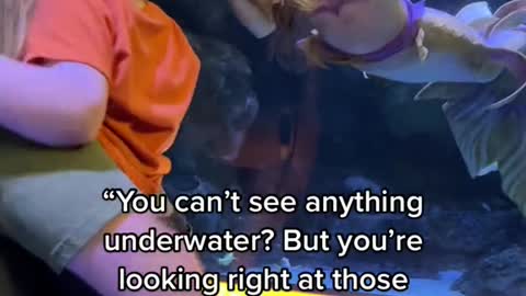 “You can't see anything underwater? But you're looking right at those people!"