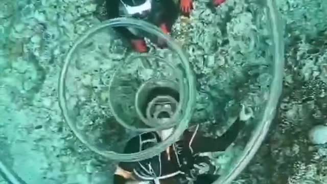 happy diving