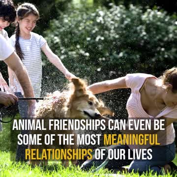 Watch This Boy Befriend a Giant, Slimy Sea Creature