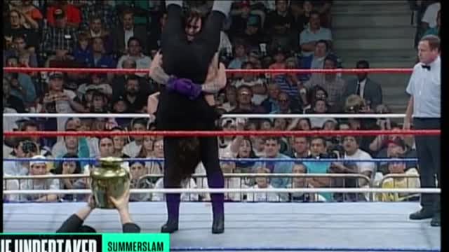 undertaker wwe