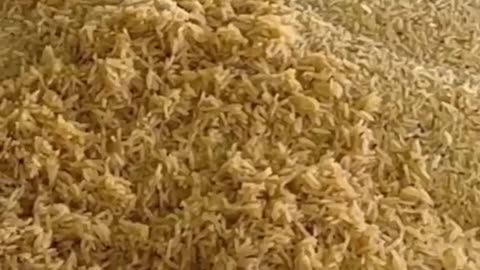 Turkey Spicy mattan biryani cooking amazing idea