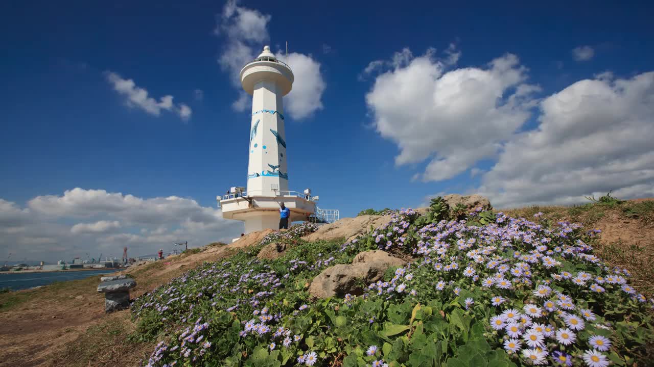 슬도등대 해국