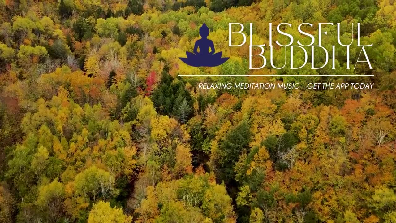 Calming Harp Meditation Music to Increase Focus - Feel at Peace - Relaxing Sounds - Blissful Buddha