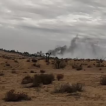 Genius Mushroom Health Supplement (Week 1): Day 2