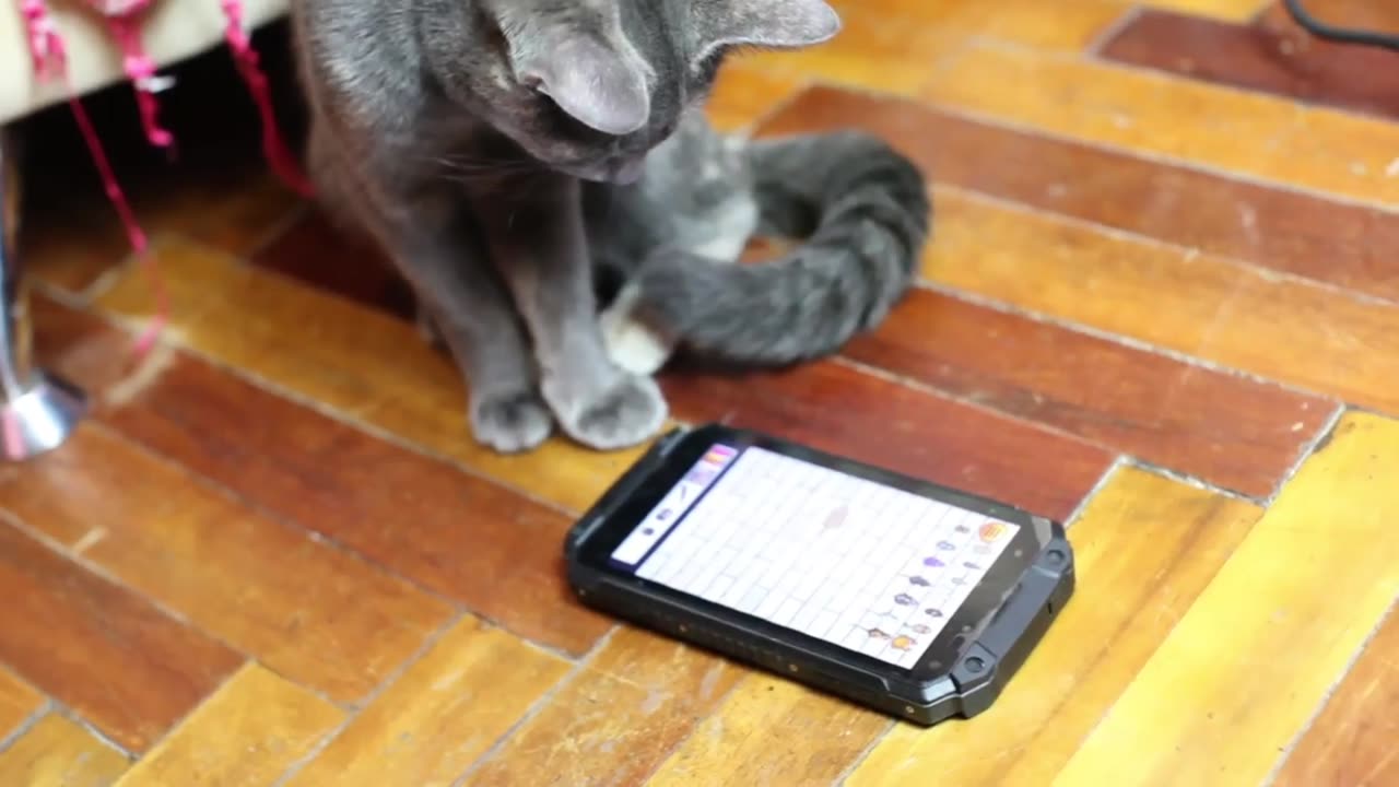 Cat Playing With Mobile