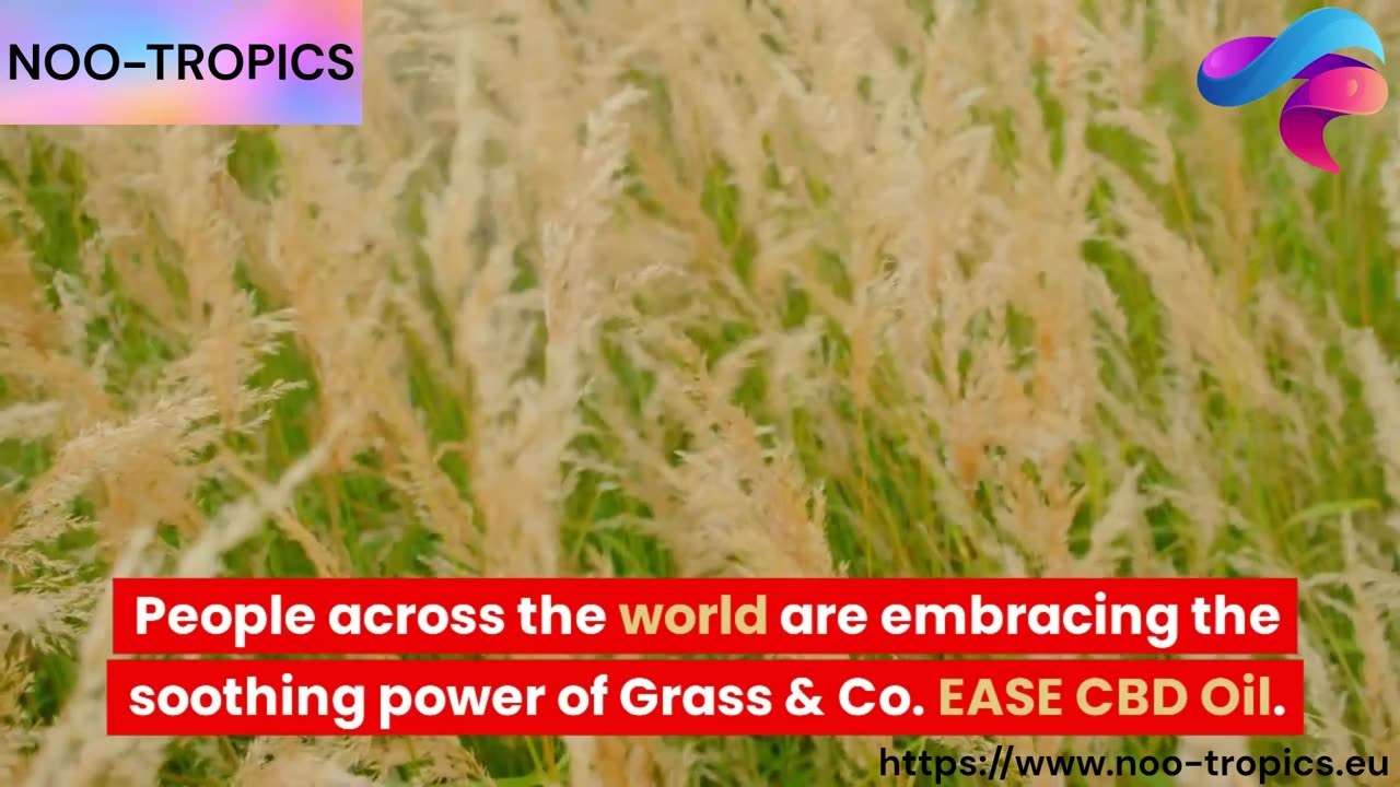 Embrace Tranquility with Grass & Co. EASE CBD Oil: Ginger, Turmeric & Orange Infusion