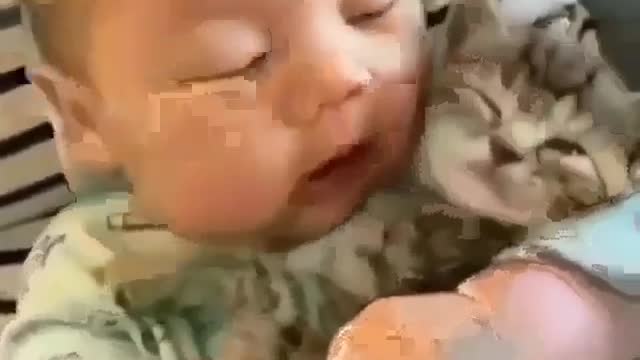 Baby and cat video,funny video,omg video ,funnest video