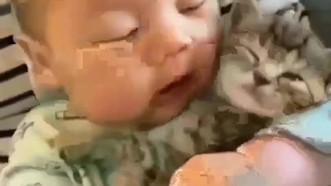 Baby and cat video,funny video,omg video ,funnest video