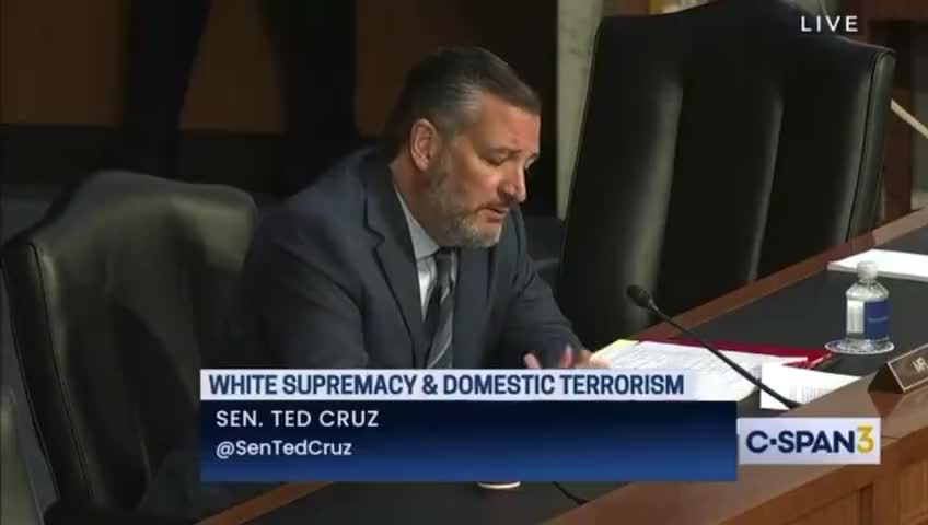 Ted Cruz NUKES Dems For Protecting Radicals