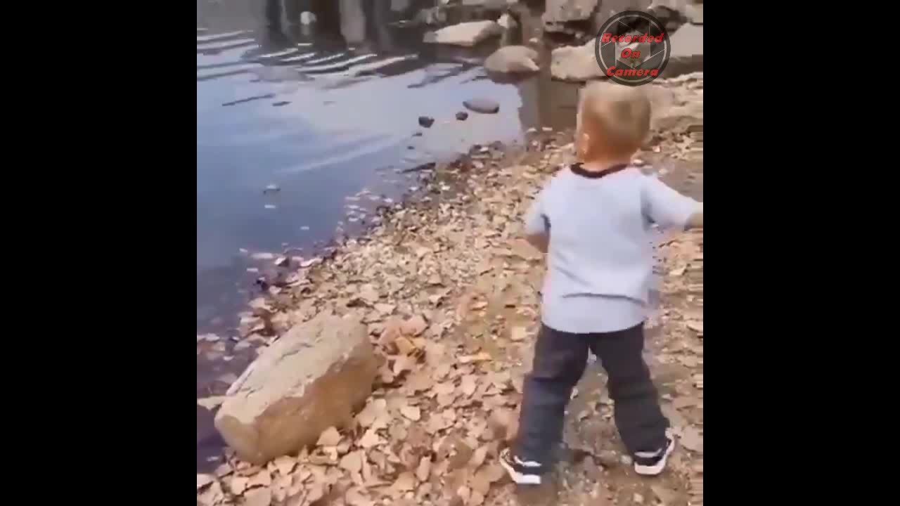 Father and Son: Rock Skipping Moment