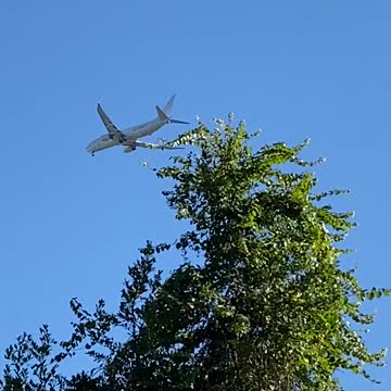 Navy Cargo Jet plus UFO