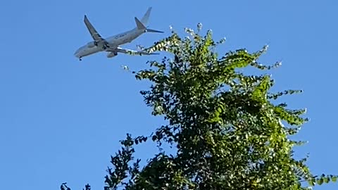 Navy Cargo Jet plus UFO