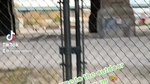 WELCOME TO A PIGEONS HOOD! KANSAS CITY MISSOURI WEST BOTTOMS