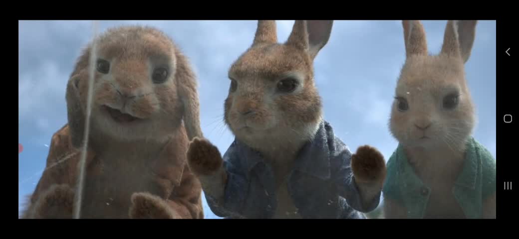 cartoon best funny scene in hindi | peter rabbit | hollywood movie , comedy,