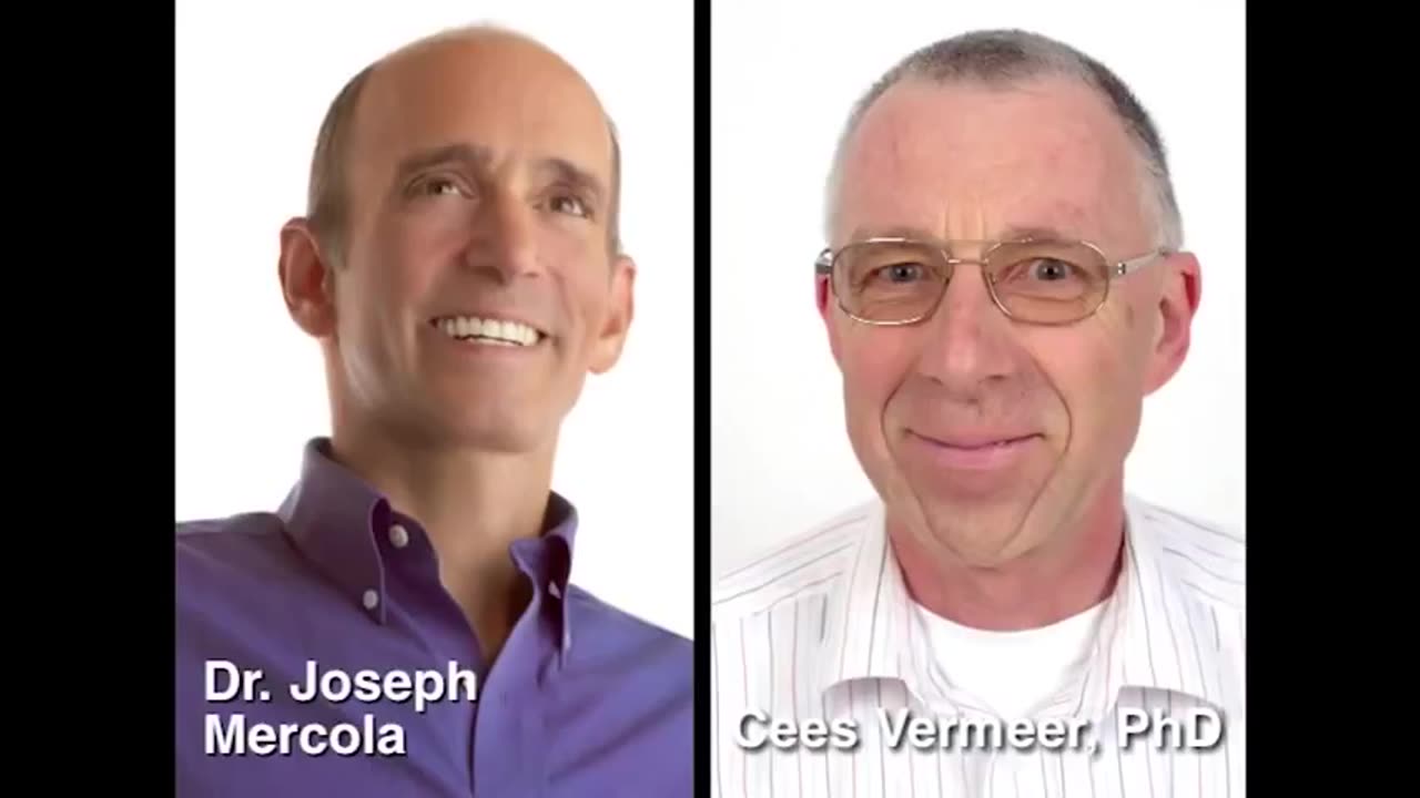 Dr. Mercola - benefits of K2 with Cees Vermeer