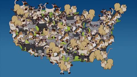 Les Simpsons : la grippe chatière