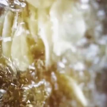 The Truth About Canola Oil