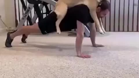 A Dog As An Exercise Partner