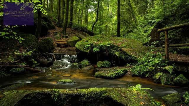 FOREST WATERFALL SOUNDS - LISTEN TO THE RAMBLING WATERFALL