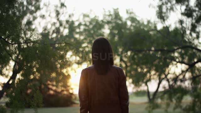 Woman standing in a meadow watching the sunset