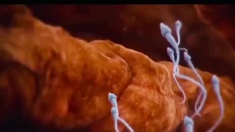פרופסור שלמה מלמד טכנולוגיית 5 גי פוגעת בפוריות הגבר יכולה לגרום לסרטן ומחלות