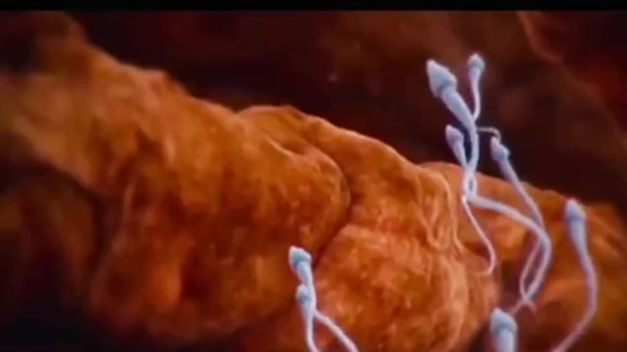 פרופסור שלמה מלמד טכנולוגיית 5 גי פוגעת בפוריות הגבר יכולה לגרום לסרטן ומחלות