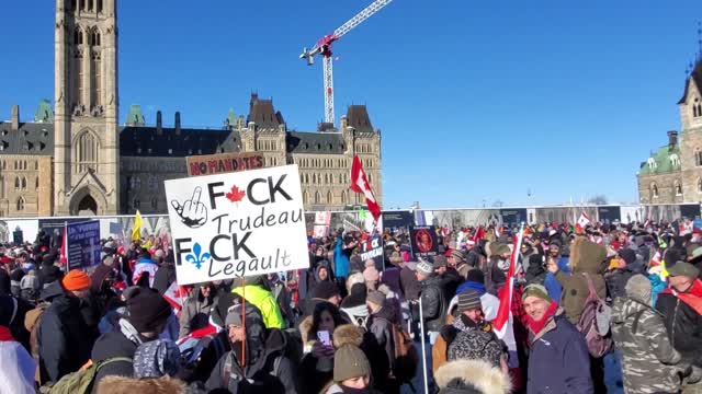 🚚 Convoi de la liberté - IMAGES CACHÉES DES MÉDIAS - Manifestation, Ottawa, 29 janvier 2022.