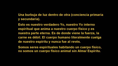 Yo interno