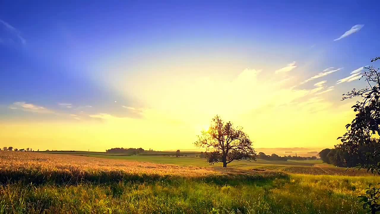 Time-lapse images of healing landscapes