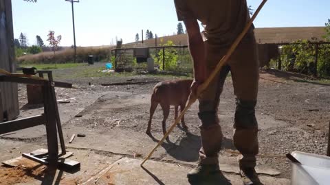 Mándale el video a tu amigo “el malo”