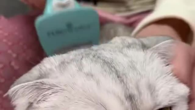 Spa day for Sonya💕