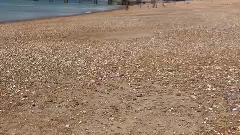 A beautiful beach in London