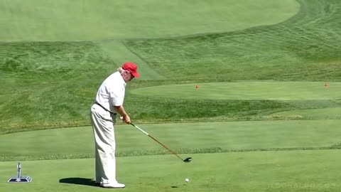 President Trump has all the fun
