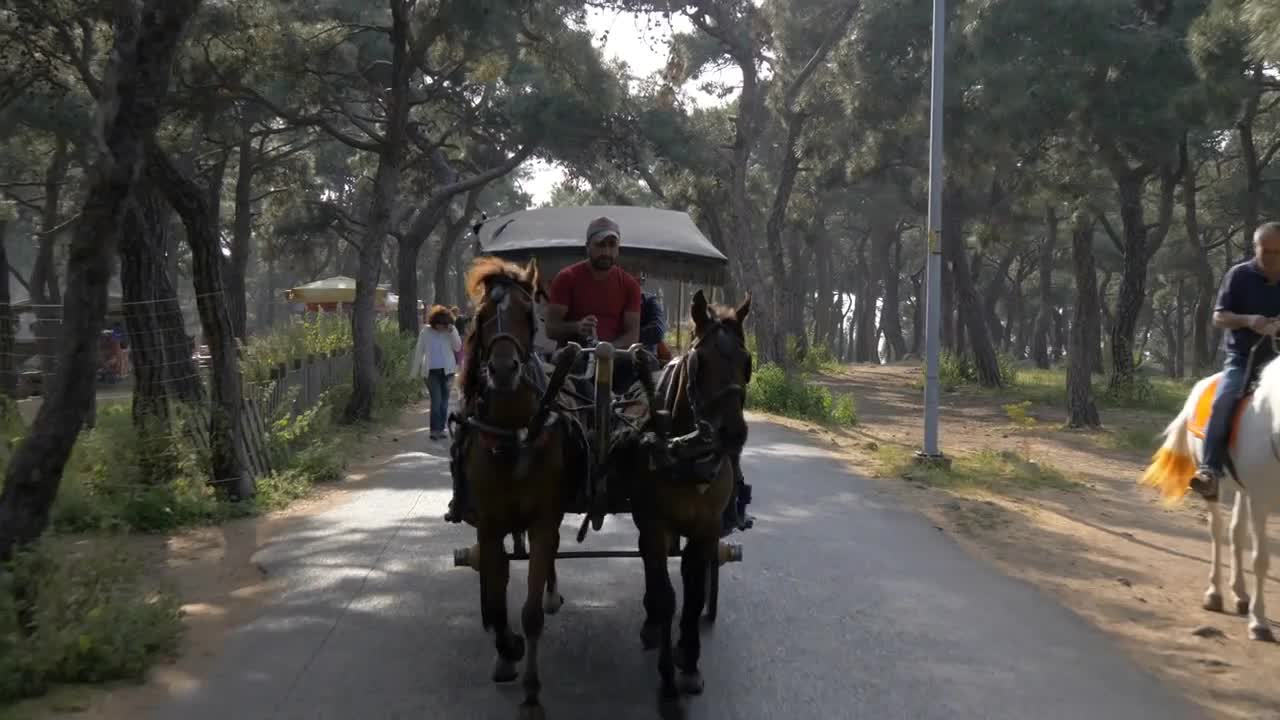 Horse-drawn sleigh on a suburban street of one of the Prince Islands in Turkey