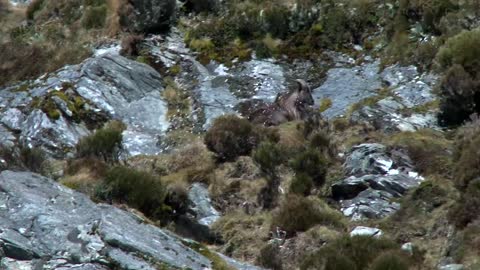 The landscapes of New Zealand